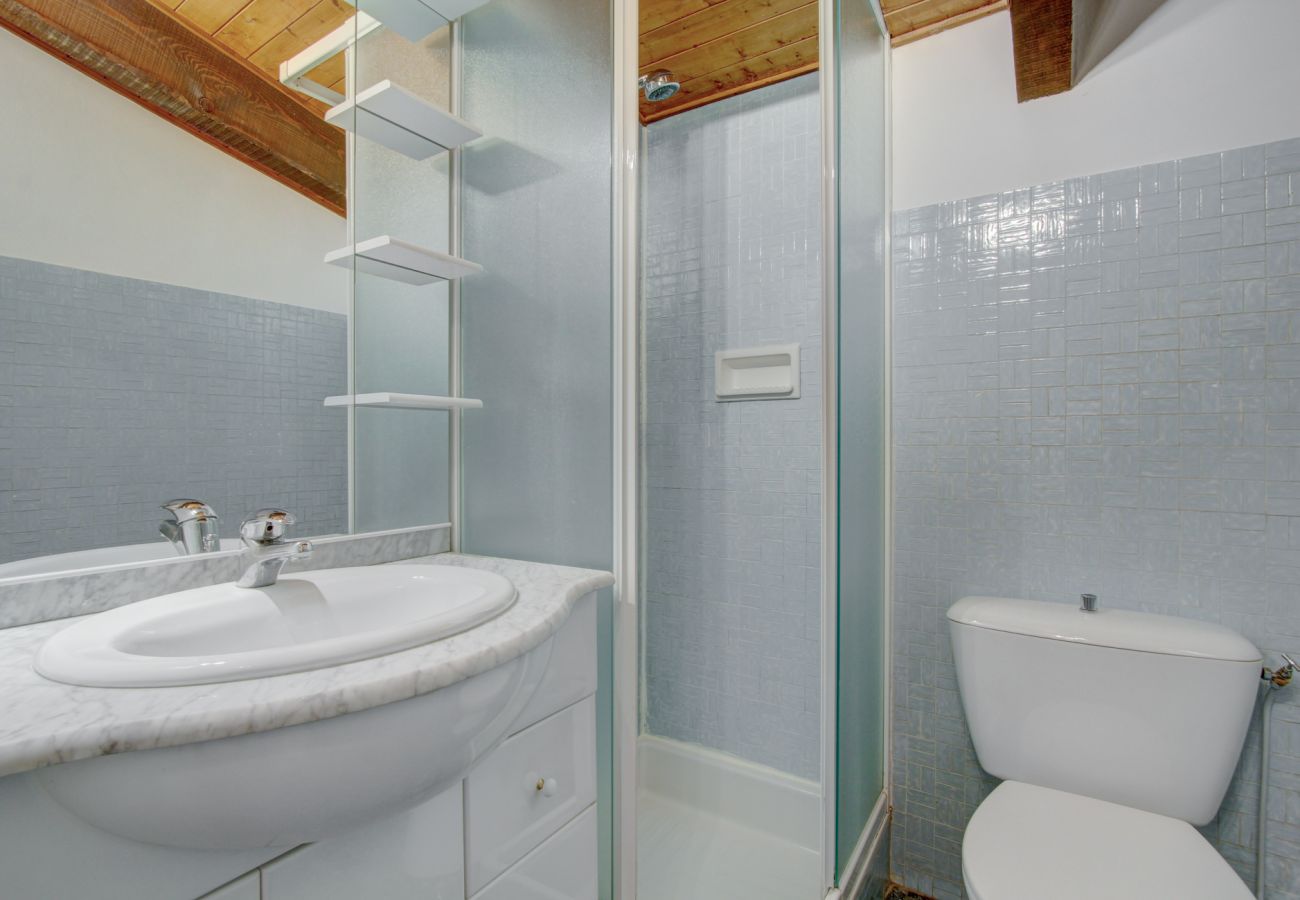 Le Pleney - Apartment - Morzine - Snow and Trek