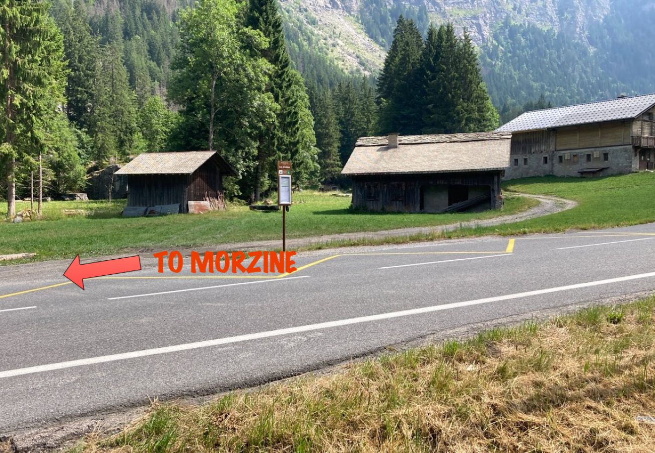  Ardoisiere - Apartment - Morzine - Snow and Trek