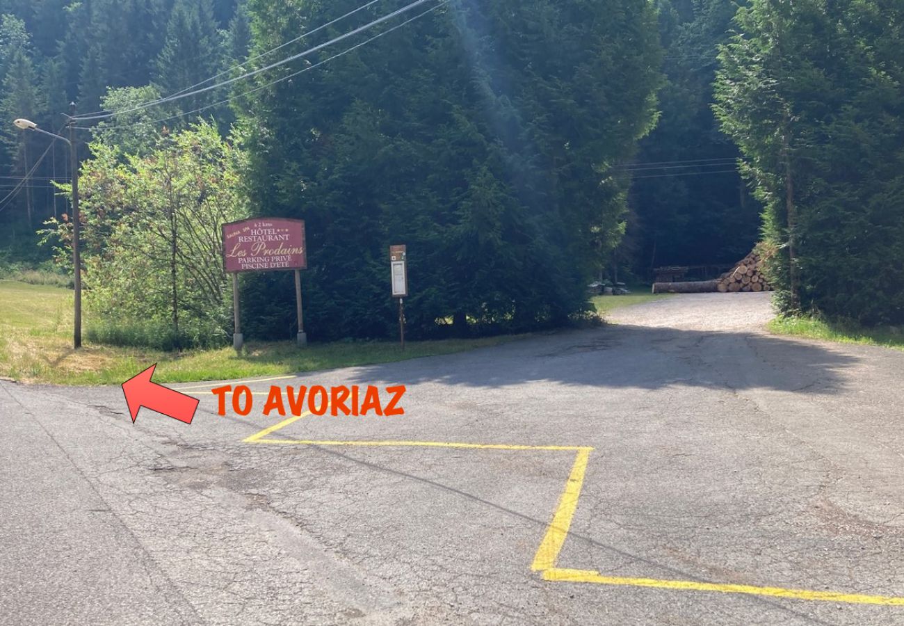  Ardoisiere - Apartment - Morzine - Snow and Trek