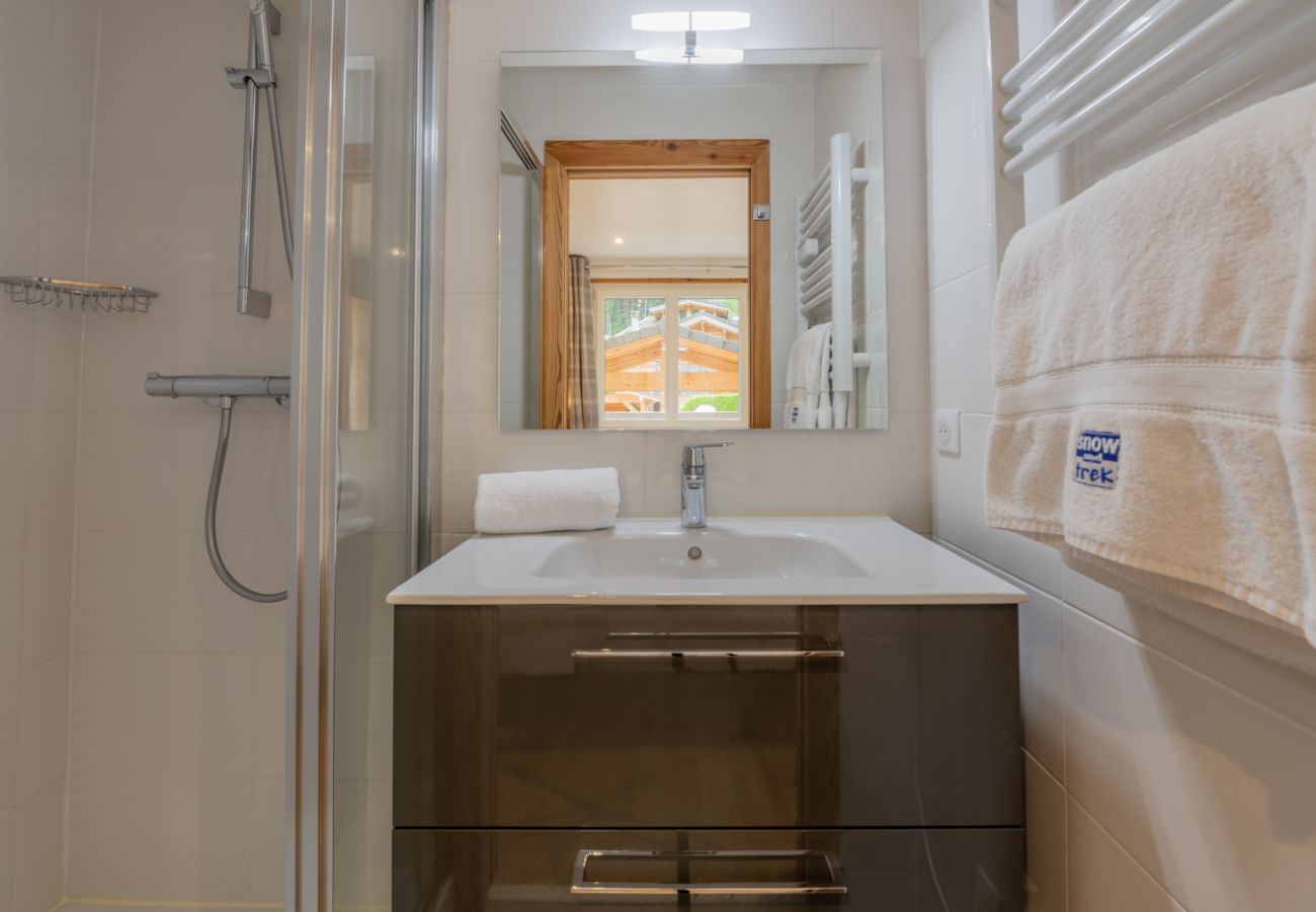 Montana Apartment - Morzine - Snow and Trek