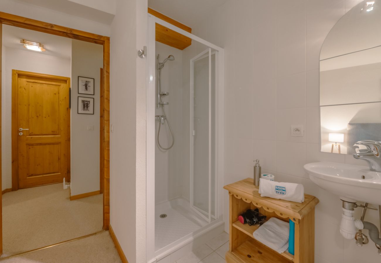 Apartment in Morzine - Nyon A2 apartment