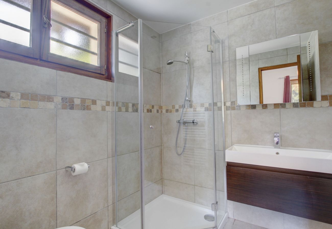 Pont aux Filles - Apartment - Morzine - Snow and Trek