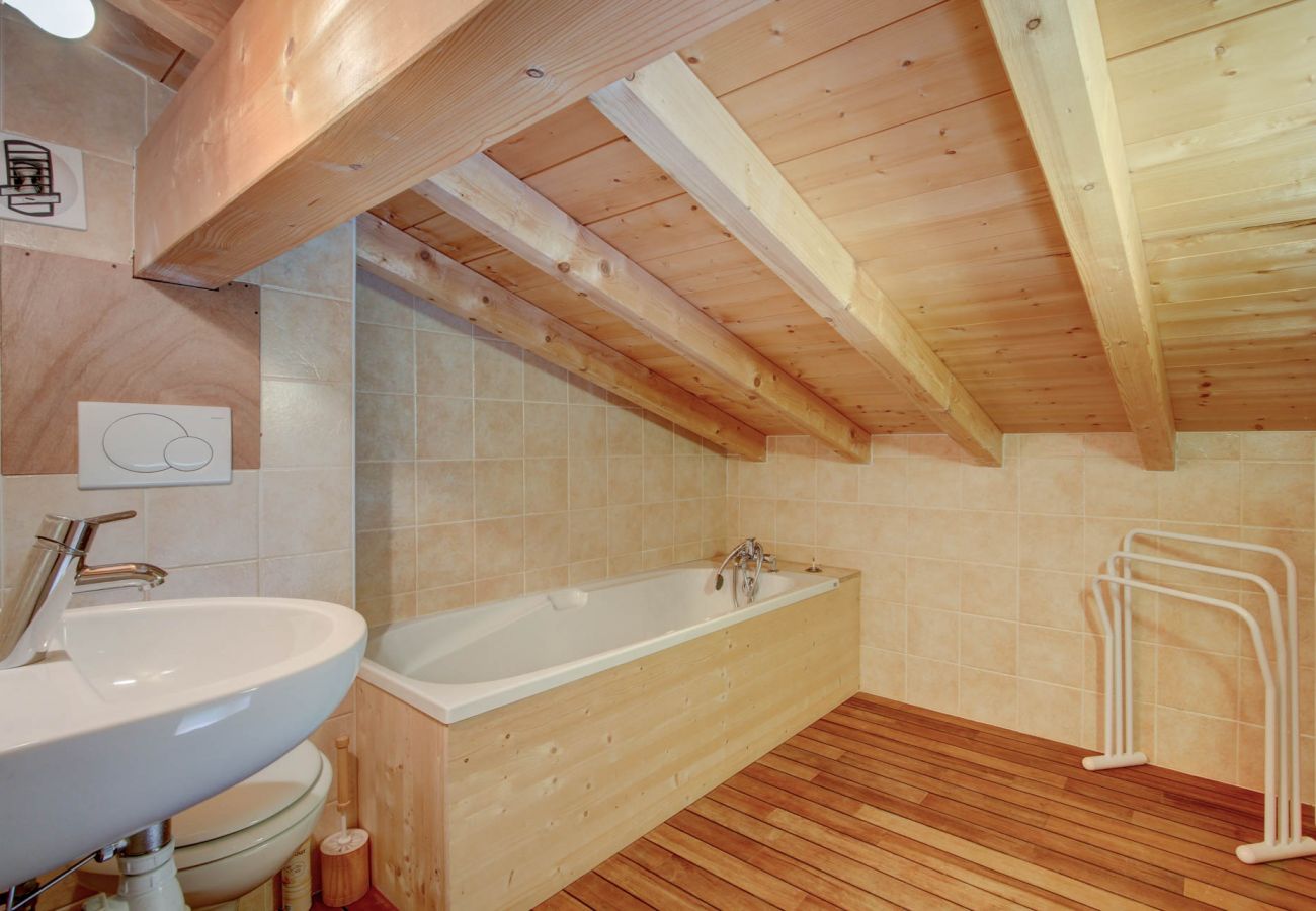 Rose et Chardon - Chalet - Morzine - Snow and Trek 