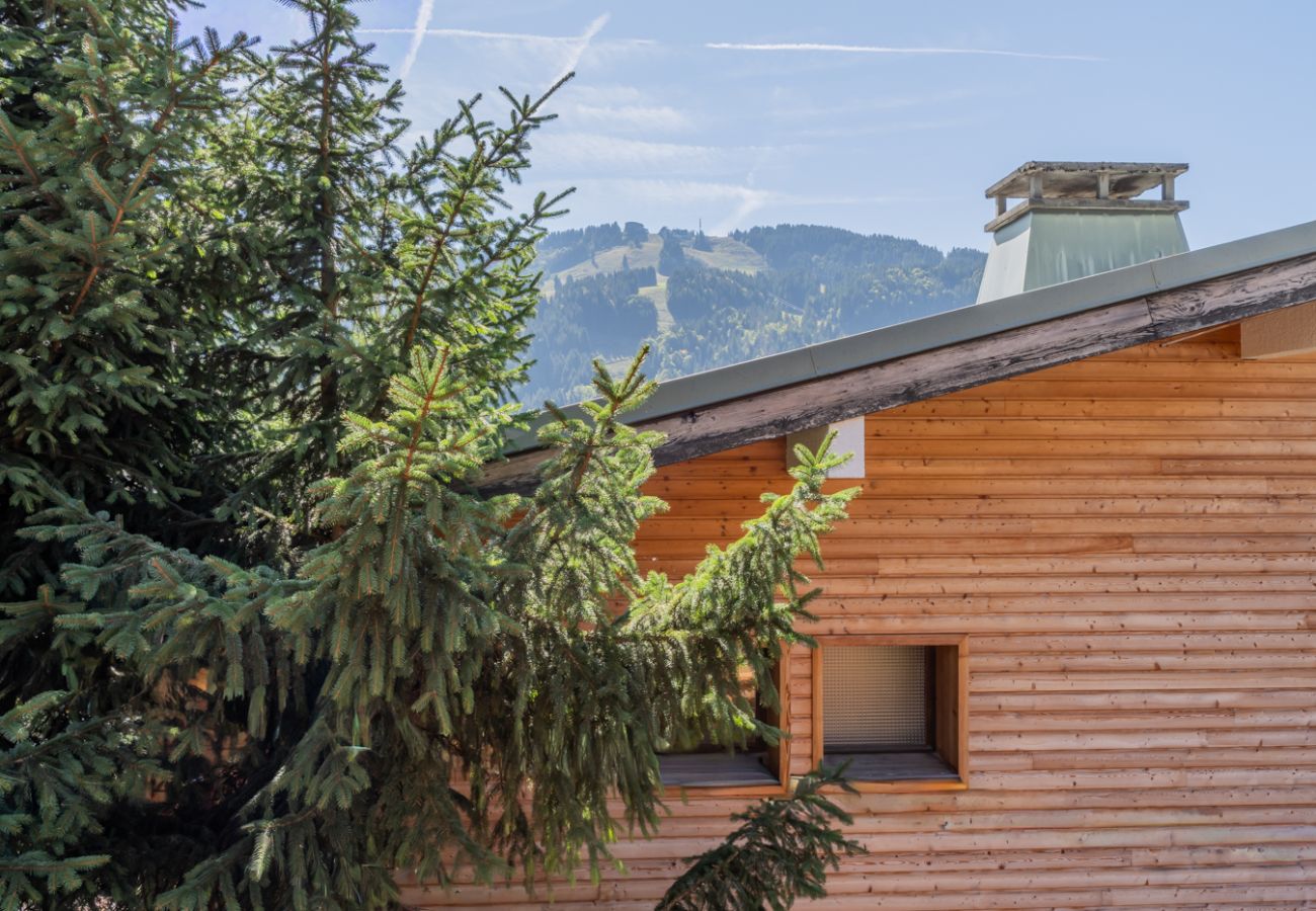 Gentianes - Chalet - Morzine - Snow and Trek 