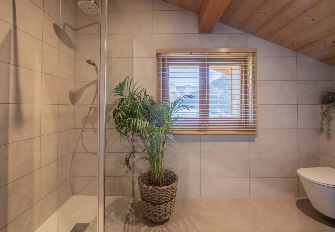 Chocolate Moose - Chalet - Morzine - Snow and Trek