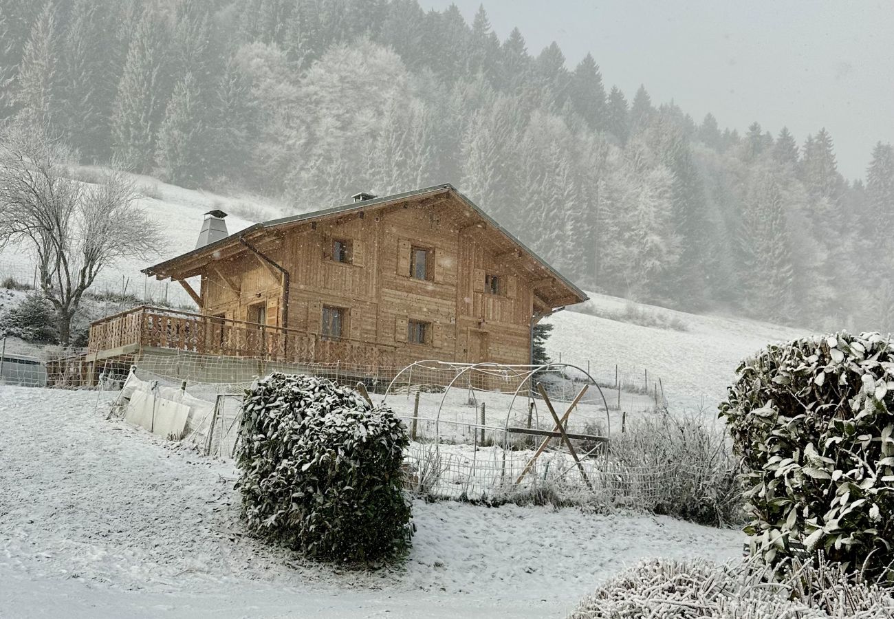 Chalet in Morzine - Chocolate Moose Chalet
