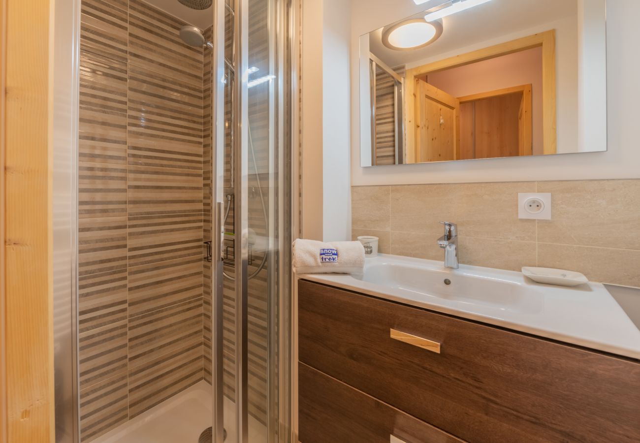 3 SOPHIE - B103 - APARTMENT - MORZINE - SNOW AND TREK