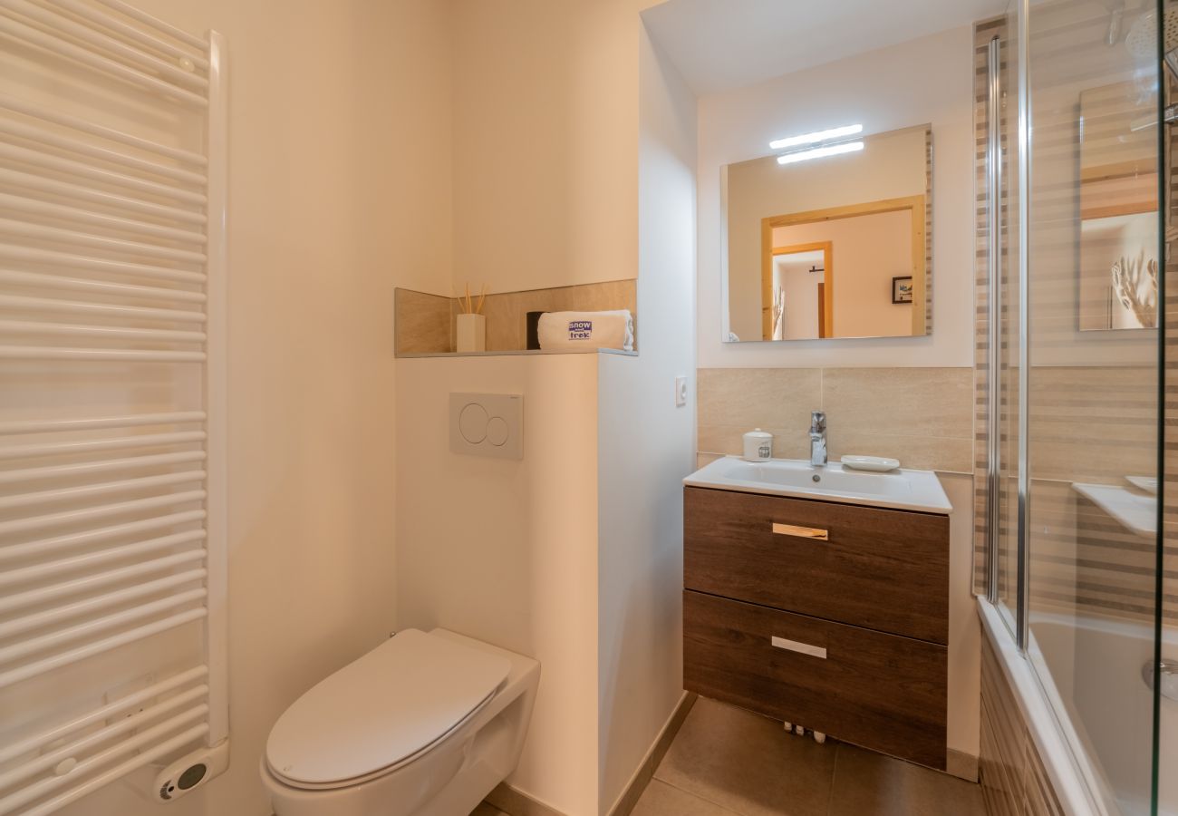 3 SOPHIE - B103 - APARTMENT - MORZINE - SNOW AND TREK