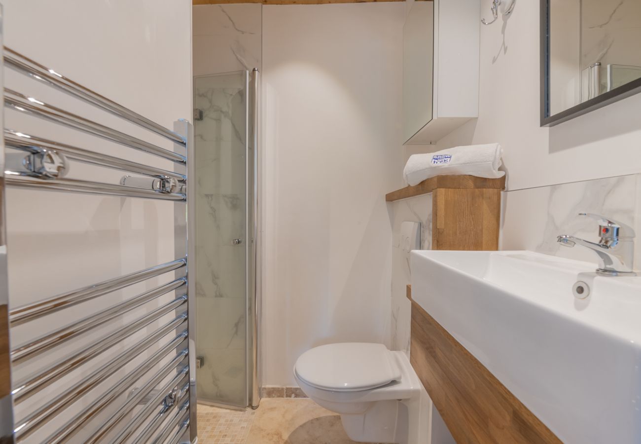 Berberis 2 apartment - bathroom  - morzine 